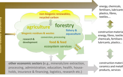 Sustainability governance of bioenergy and the broader bioeconomy