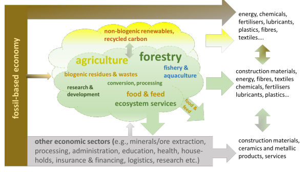 Sustainability governance of bioenergy and the broader bioeconomy
