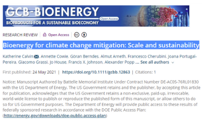 Bioenergy for climate change mitigation: scale and sustainability