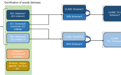 Approaches to sustainability compliance and verification for forest biomass