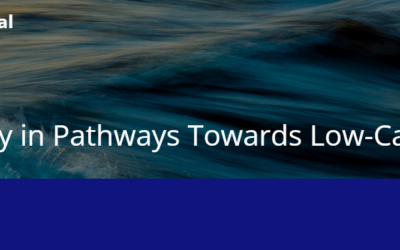 Call for Papers: Article Collection on Biomass and Bioenergy in Pathways Towards Low-Carbon Futures